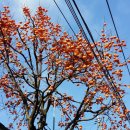 서울포목 - 영천시 시장2길 10 | 서울포목
