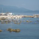 대진해변 이미지