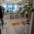 선정릉필라테스 :: 서울 에들린메디월필라테스에서 월요가, 테라피월 후기