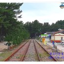 (주)용화관광 이미지