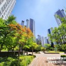 구운부동산공인중개사사무소 이미지