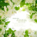 축복공인중개사사무소 이미지