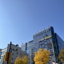 라온제나 분당 웨딩뷔페 | 라온제나 분당 하객 참석 뷔페 주차 솔직후기