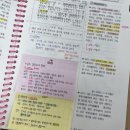 김구족 | [김구전공역사 출제영역분석반 공부기록📕] 1주차 | 2024.05.01~05.05🖍️