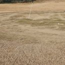 유산벨리골프연습장 이미지