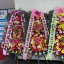 글로벌 실크로드케어 이미지