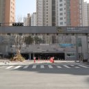 나비초 이미지