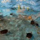 동그란 멍멍이 | 곳] 어른 아이 만족도 최상! 실내/외 동물원 먹이주기체험 가능 고양 "쥬쥬랜드" 25개월 아기랑 방문후기