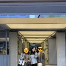 속속봄내과의원 이미지