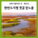 후크선장과 바다낚시 이미지