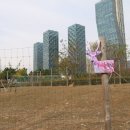 행복한사슴농장 이미지