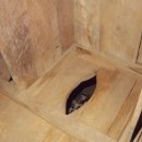 보덕사해우소 이미지