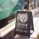 아지다펫 네이버블로그