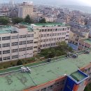 밀성여자중학교, 밀성제일고등학교 이미지