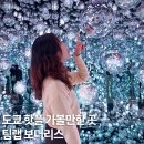 [공지] 도쿄 팀랩 보더리스 입장권 예약 핫플 일본 여행 코스 추천