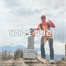 서정초교 | 전남 해남 가볼만한곳 2025 땅끝해남 달마고도 힐링걷기 미황사 달마산 최단코스 총정리