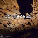 천곡황금박쥐동굴 이미지