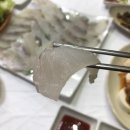 포천송우리 횟집 대천수산회센터 방문후기 I 싱싱한 활어 사시미매운탕 알밥에 백세주 한잔!