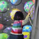 경기도 과천시 치매안심센터 | 경기도 과천에서 베베핀 보고 아기랑 주말 순삭하기