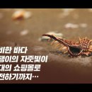 원더랜드, 스티븐존슨, 음악, 뼈로 만든피리, 매머드, 독일, 네안데르탈인, 블라우강, 육식동물, 갈대, 동물가죽, 박테리아, 음악 이미지