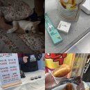 카페인조이 이미지