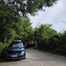 제5회 평화음악회 | [야당] 제5회 운정4동 하우고개 향나무숲 음악회 방문 후기