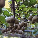 김동기 이사님 참대래 장려상 축하드립니다 이미지
