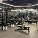 마이티핏 이미지