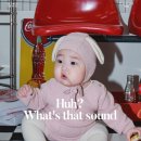 우행다스튜디오
