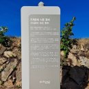 미현리 기계유씨 시조 묘비 | 기계유씨시조유삼재묘(杞溪兪氏始祖兪三宰), 풍수지리 간산을 다녀오다.~^^