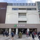 꽃 보러 떠나는 세계여행(2) 이미지