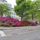 협성대학교 웨슬리신학대학원 이미지