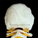 바른맥한의원 이미지