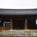 임영로 Daum카페