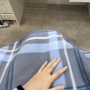 81 | 서울/종로구 라라홍메이크업 후기｜종로메이크업 추천