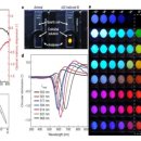 나노네이처 이미지