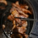 거북이동네 부산명지점 이미지