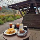 종수농장 이미지