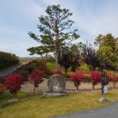 여주컨트리클럽 이미지