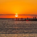 섬 우럭축제 | &#34;입질에 손맛이 장난 아니네요&#34; 갑오징어와 쭈꾸미, 우럭, 광어도 잡히는 갯바위 낚시 포인트