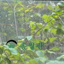 이헌앤손현주의원 이미지