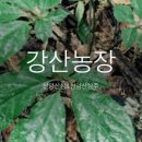 강산농장 이미지