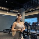 힙시스터즈