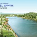 디엠케어 이미지