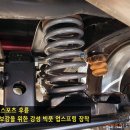 젤리스프링 이미지