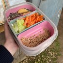 금계농장 | 아가새 농장에 가보자!(ft. 홍성 아기새 농장, 홍성...실내 놀이터, 홍성 키즈카페, 주차, 가격, 후기)