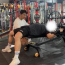 바디엔지니어 이미지