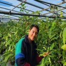 김재민농장 이미지