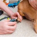 에스동물병원 이미지