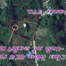 표선리-1 이미지